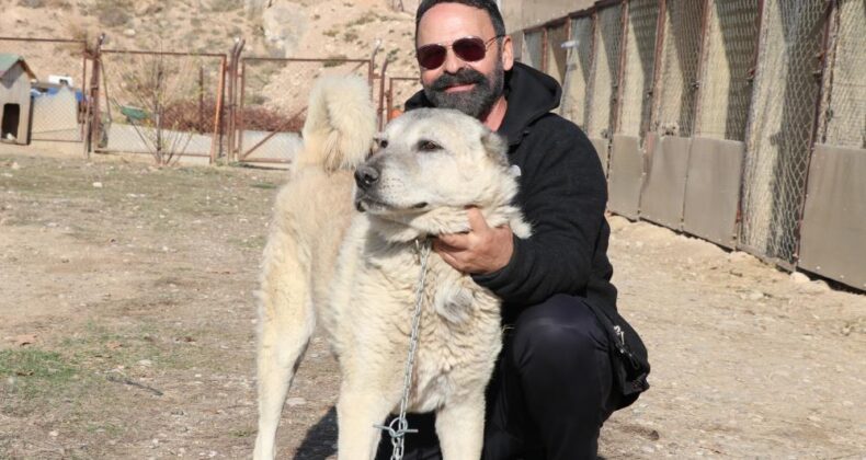 Doğa insanı uyarıyor