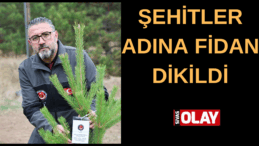 478 şehit adına fidan dikildi