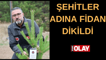 478 şehit adına fidan dikildi