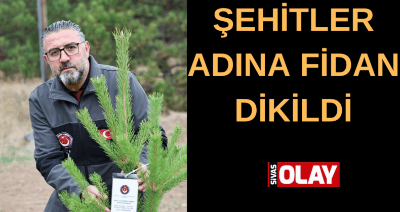 478 şehit adına fidan dikildi