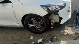 Sokak köpekleri otomobile 108 bin TL’lik zarar verdiler