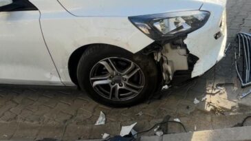 Sokak köpekleri otomobile 108 bin TL’lik zarar verdiler