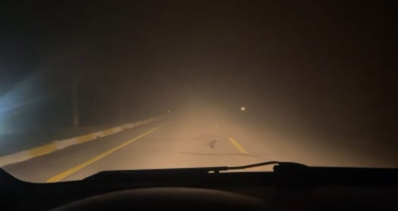 Sivas’ta yoğun sis hava ulaşımını olumsuz etkiledi