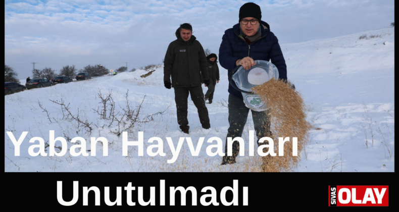 Doğal denge korunmalı