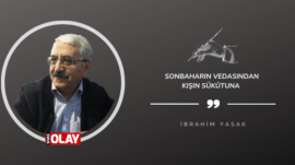 Sonbaharın Vedasından Kışın Sükûtuna