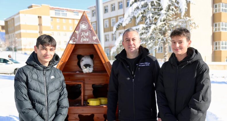 Sivas Belediyesi sessiz dostlarımızı unutmadı