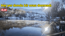 Her yer dondu bir orası donmadı