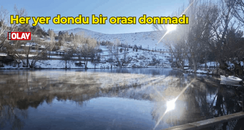 Her yer dondu bir orası donmadı
