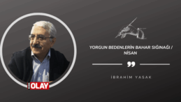Yorgun Bedenlerin Bahar Sığınağı / Nisan