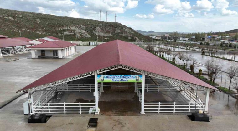 Sivas’ta kurban pazarı için takvim netleşti