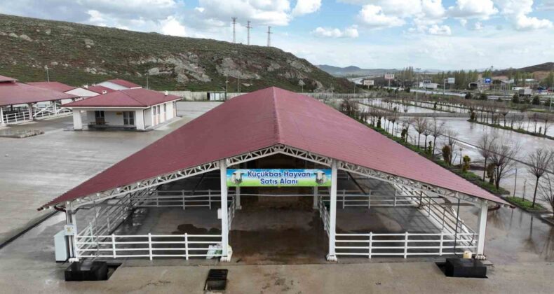 Sivas’ta kurban pazarı için takvim netleşti