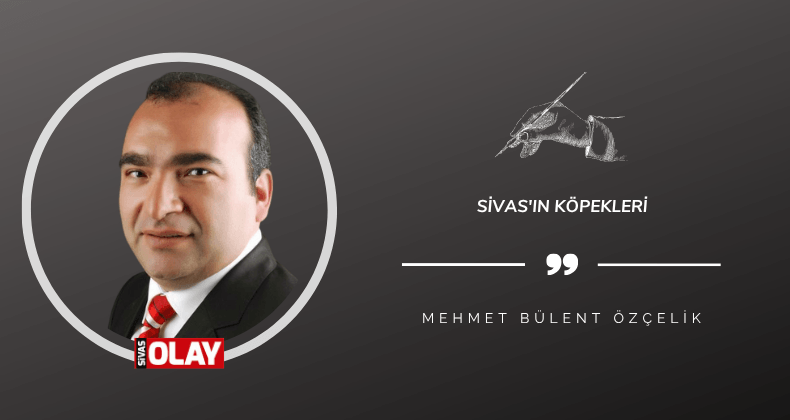 Sivas’ın Köpekleri