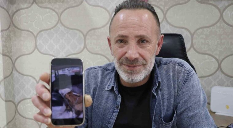 Aracın bagajındaki buzağıyı görünce merakla yaklaştı, gördüğü manzara karşısında şaşkınlığını gizleyemedi