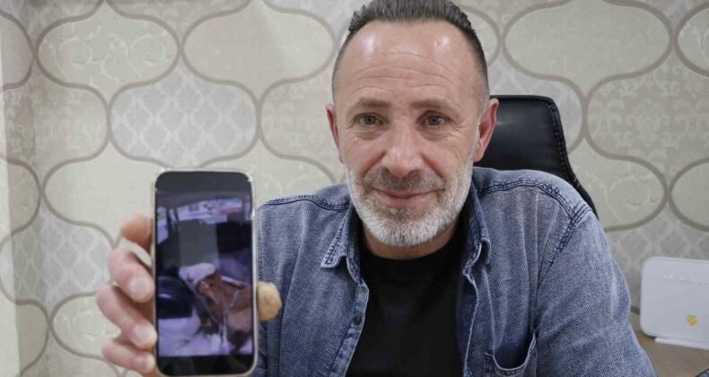 Aracın bagajındaki buzağıyı görünce merakla yaklaştı, gördüğü manzara karşısında şaşkınlığını gizleyemedi