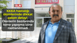 KKKA hastalığı ölümlerinde dikkat çeken detay: ölenlerin bazılarında kene yapışma izine rastlanılmadı