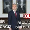 Kardeşlik ve sevgi