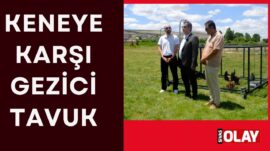 Önleyici tedbir