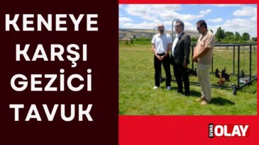 Önleyici tedbir