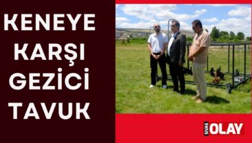 Önleyici tedbir
