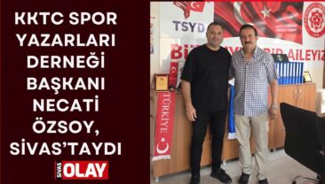 Ülkelerarası dostluk ve dayanışma