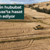 Türkiye’nin hububat ambarı Sivas’ta hasat devam ediyor