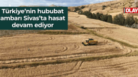 Türkiye’nin hububat ambarı Sivas’ta hasat devam ediyor