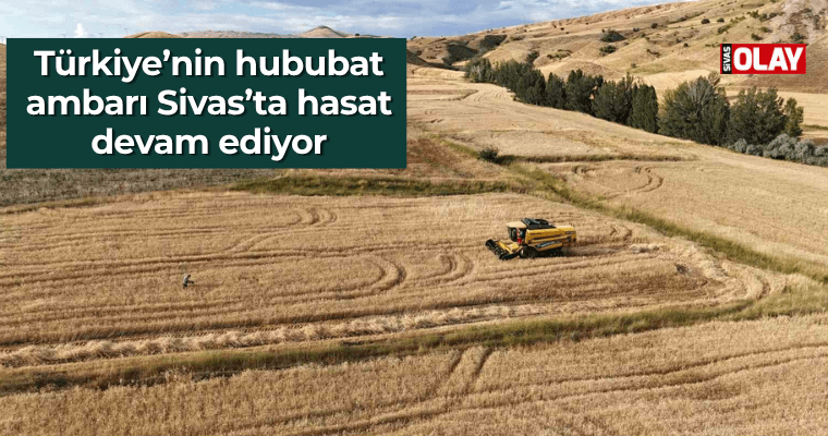 Türkiye’nin hububat ambarı Sivas’ta hasat devam ediyor