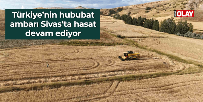 Türkiye’nin hububat ambarı Sivas’ta hasat devam ediyor
