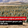 Sivas’ta ayçiçeği üretimi geçen yıla göre yüzde 109 arttı