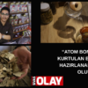 Unutkanlığı önlüyor