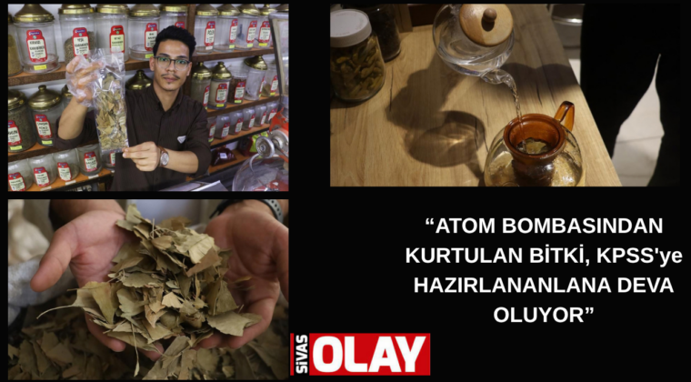 Unutkanlığı önlüyor