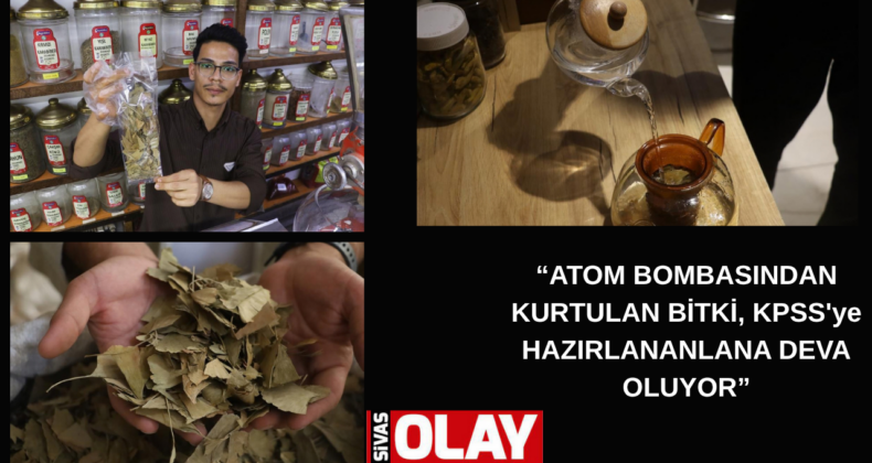 Unutkanlığı önlüyor