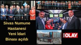 Daha hızlı ve etkin koordinasyon