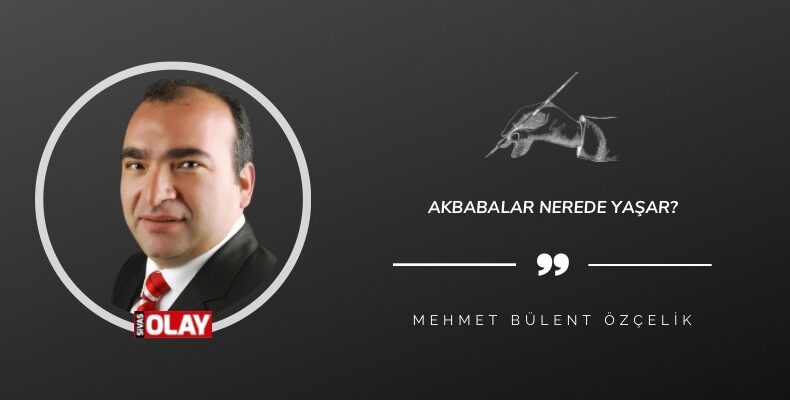Akbabalar nerede yaşar?