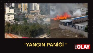 Panik yarattı