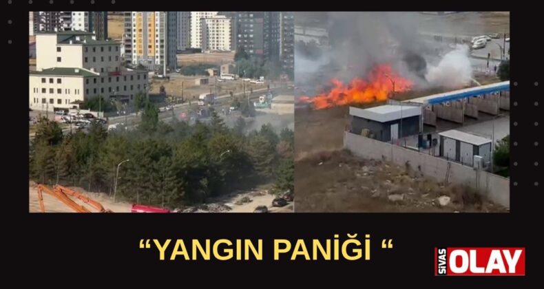 Panik yarattı