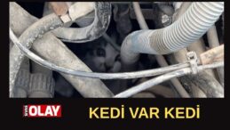 Kurtarıldı