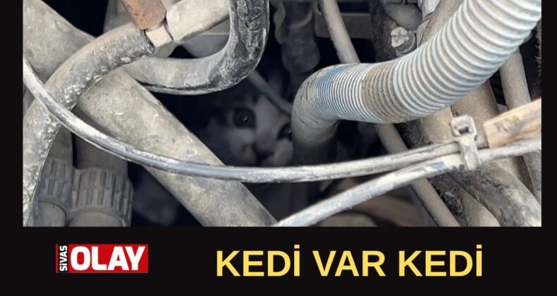 Kurtarıldı