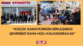 Sanayileşme hamlesi