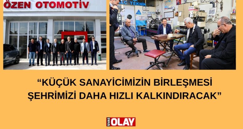 Sanayileşme hamlesi