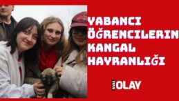 Yavruları sevdiler