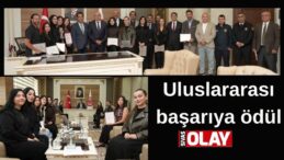 Başarıya katkı