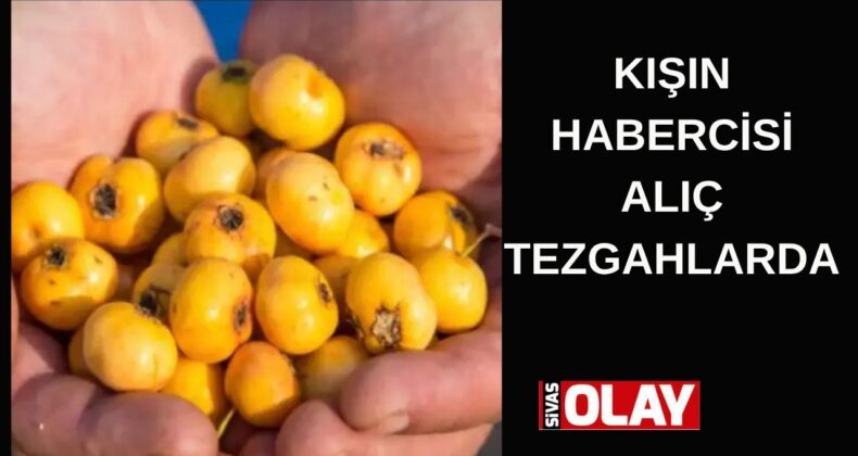 Kalbe,şekere,tansiyona faydalı