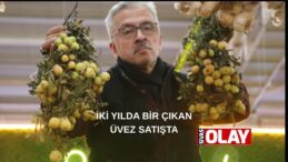 Bir çok hastalığın şifası