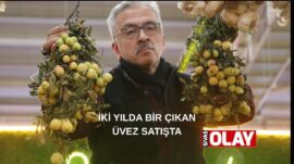 Bir çok hastalığın şifası