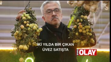 Bir çok hastalığın şifası