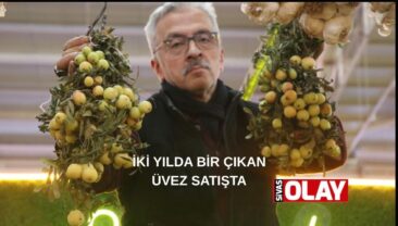 Bir çok hastalığın şifası