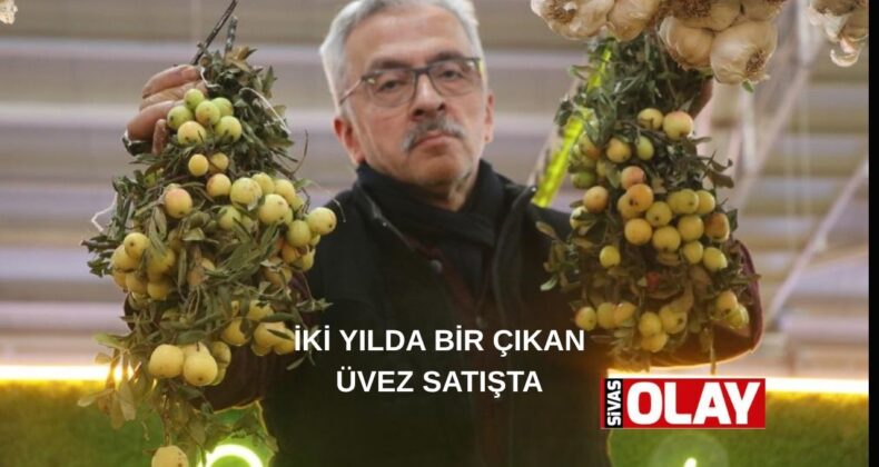 Bir çok hastalığın şifası