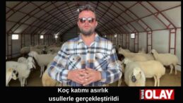 Renkli görüntüler oluştu