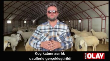 Renkli görüntüler oluştu